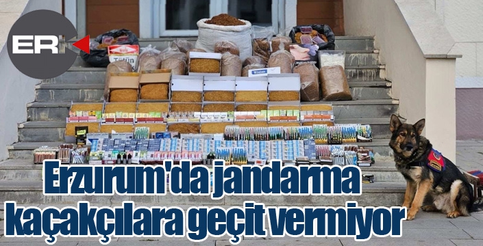 Erzurum'da jandarma kaçakçılara geçit vermiyor