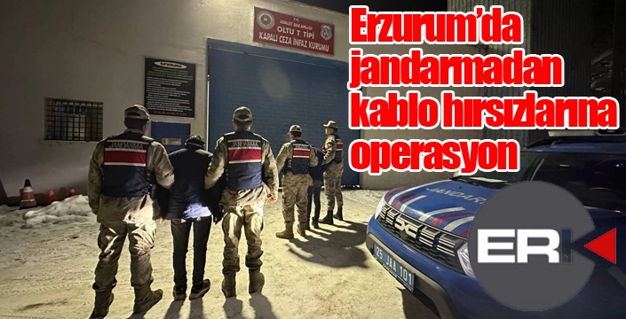 Erzurum’da jandarmadan kablo hırsızlarına operasyon