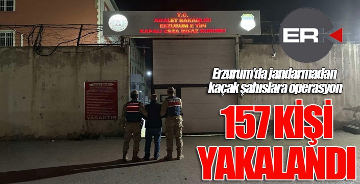 Erzurum'da jandarmadan kaçak şahıslara operasyon