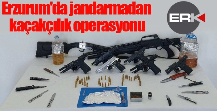 Erzurum'da jandarmadan kaçakçılık operasyonu