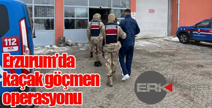 Erzurum’da kaçak göçmen operasyonu