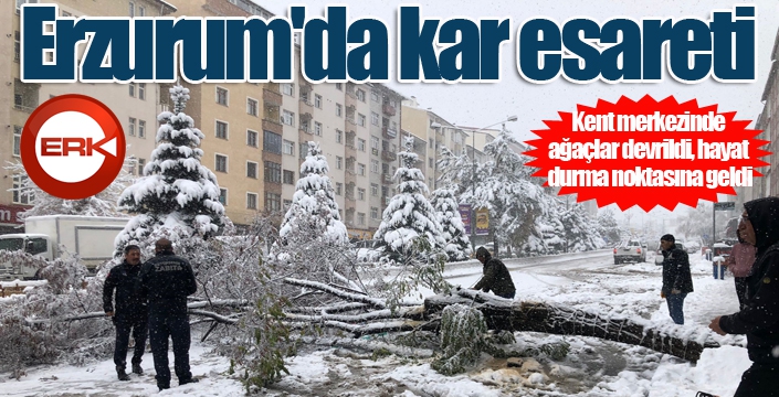 Erzurum'da kar esareti