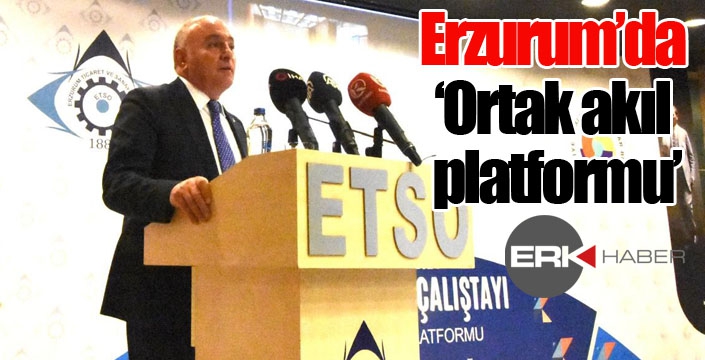 Erzurum’da ‘Ortak akıl platformu’