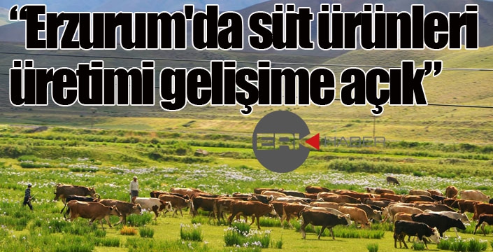 “Erzurum'da süt ürünleri üretimi gelişime açık”