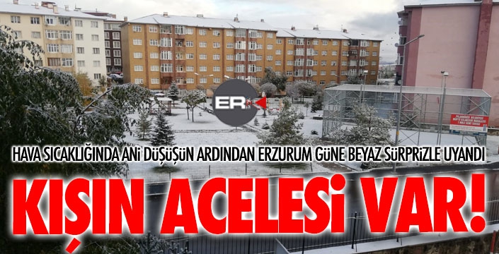 Erzurum kent merkezine mevsimin ilk karı yağdı