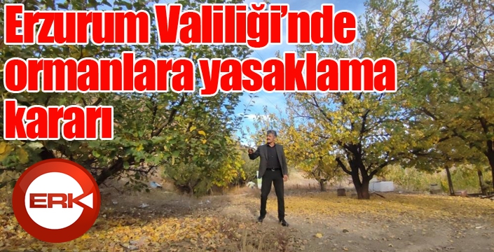 Erzurum Valiliği’nde ormanlara yasaklama kararı