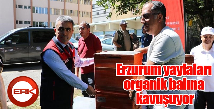 Erzurum yaylaları organik balına kavuşuyor