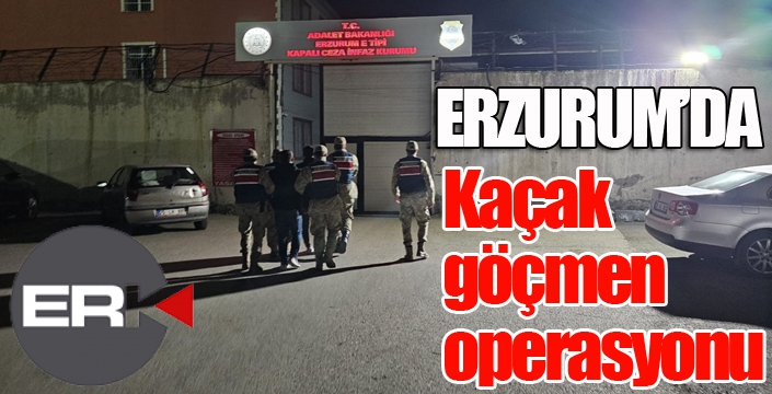 Jandarma ekiplerinden kaçak göçmen operasyonu