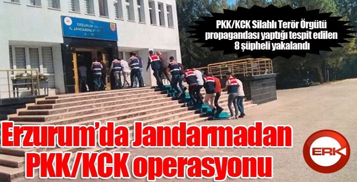 Jandarmadan PKK/KCK operasyonu