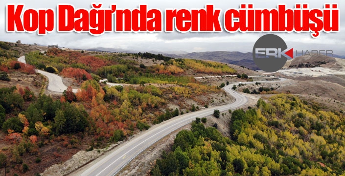 Kop Dağında renk cümbüşü