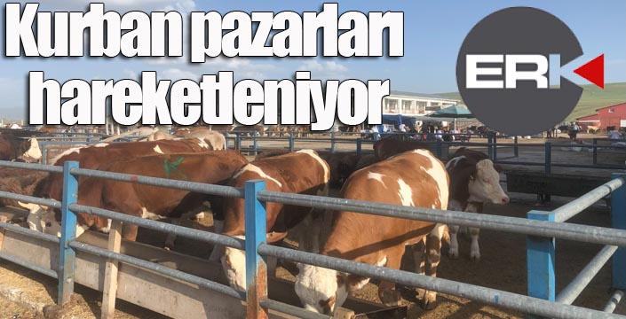 Kurban pazarları hareketleniyor