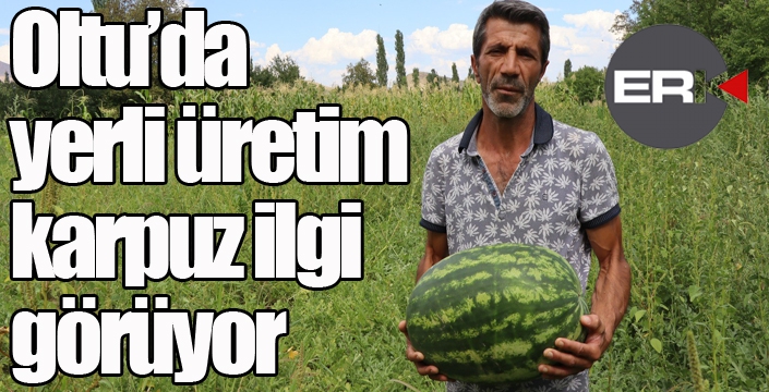 Oltu’da yerli üretim karpuz ilgi görüyor