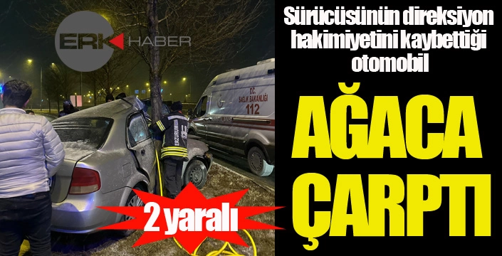 Otomobil ağaca çarptı: 2 yaralı...