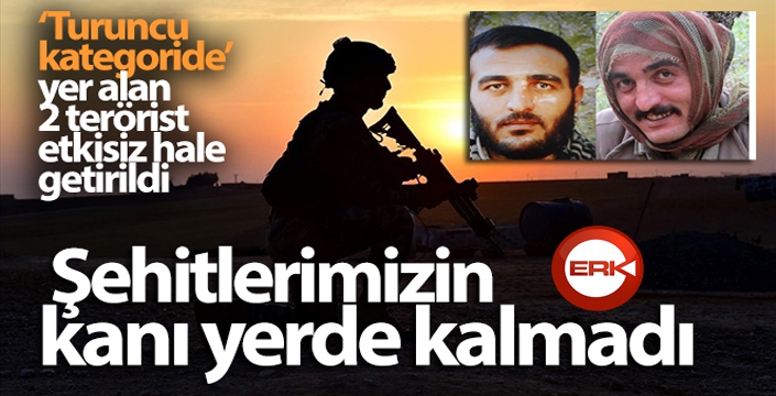 Şehitlerimizin kanı yerde kalmadı