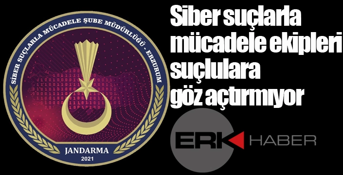 Siber suçlarla mücadele ekipleri suçlulara göz açtırmıyor