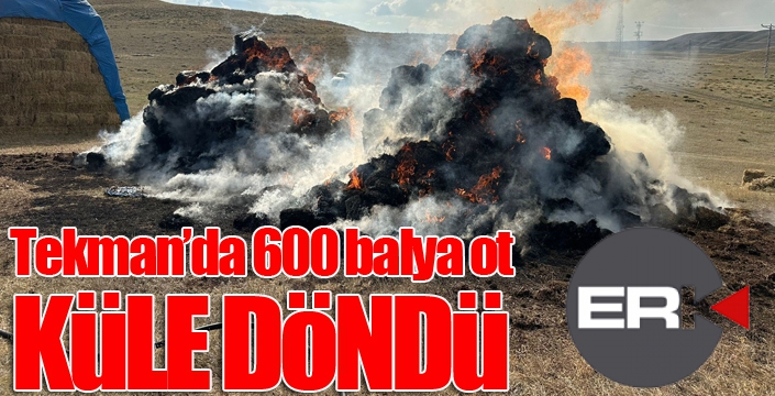 Tekman’da 600 balya ot küle döndü