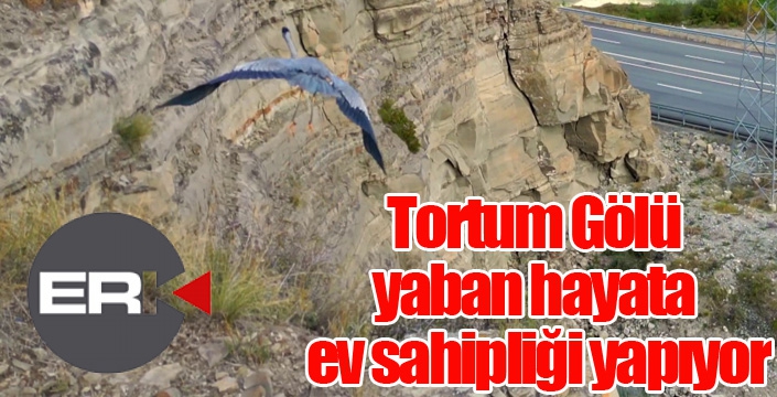 Tortum Gölü yaban hayata ev sahipliği yapıyor