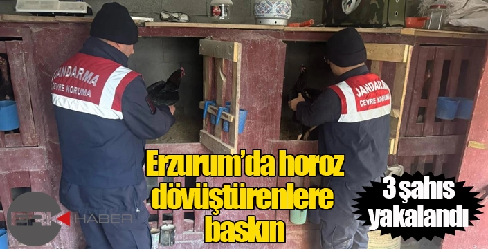 Uzundere’de horoz dövüştüren 3 şahıs yakalandı