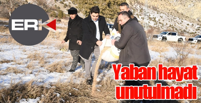 Yaban hayat unutulmadı