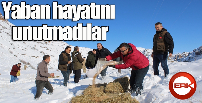 Yaban hayatını unutmadılar