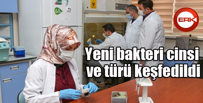 Yeni bakteri cinsi ve türü keşfedildi